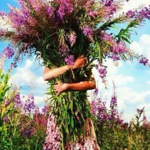 Meet your Posher, Ellen